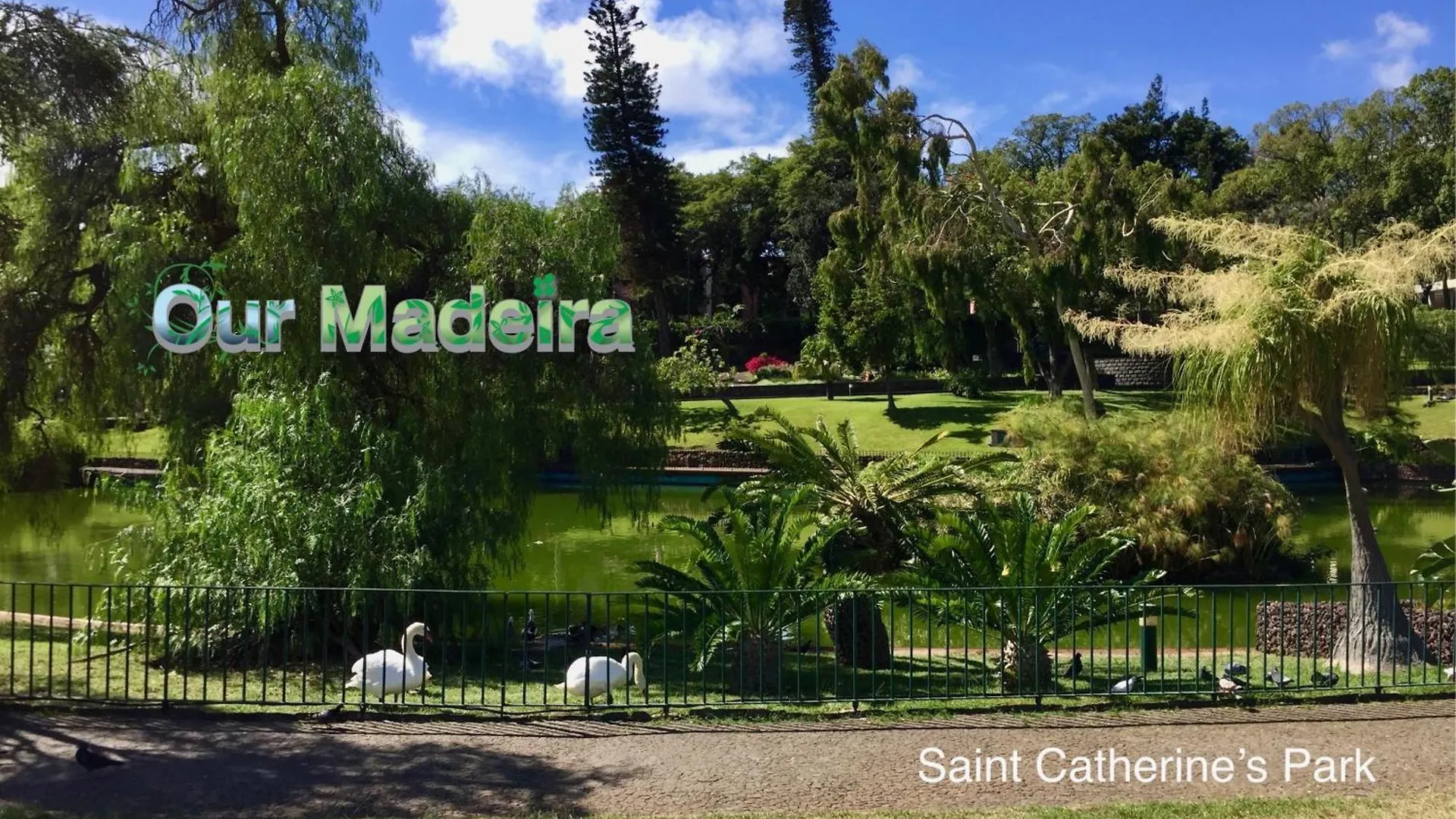 Ferienwohnung Ourmadeira - Heart Of Old Town I Funchal  Funchal (Madeira)